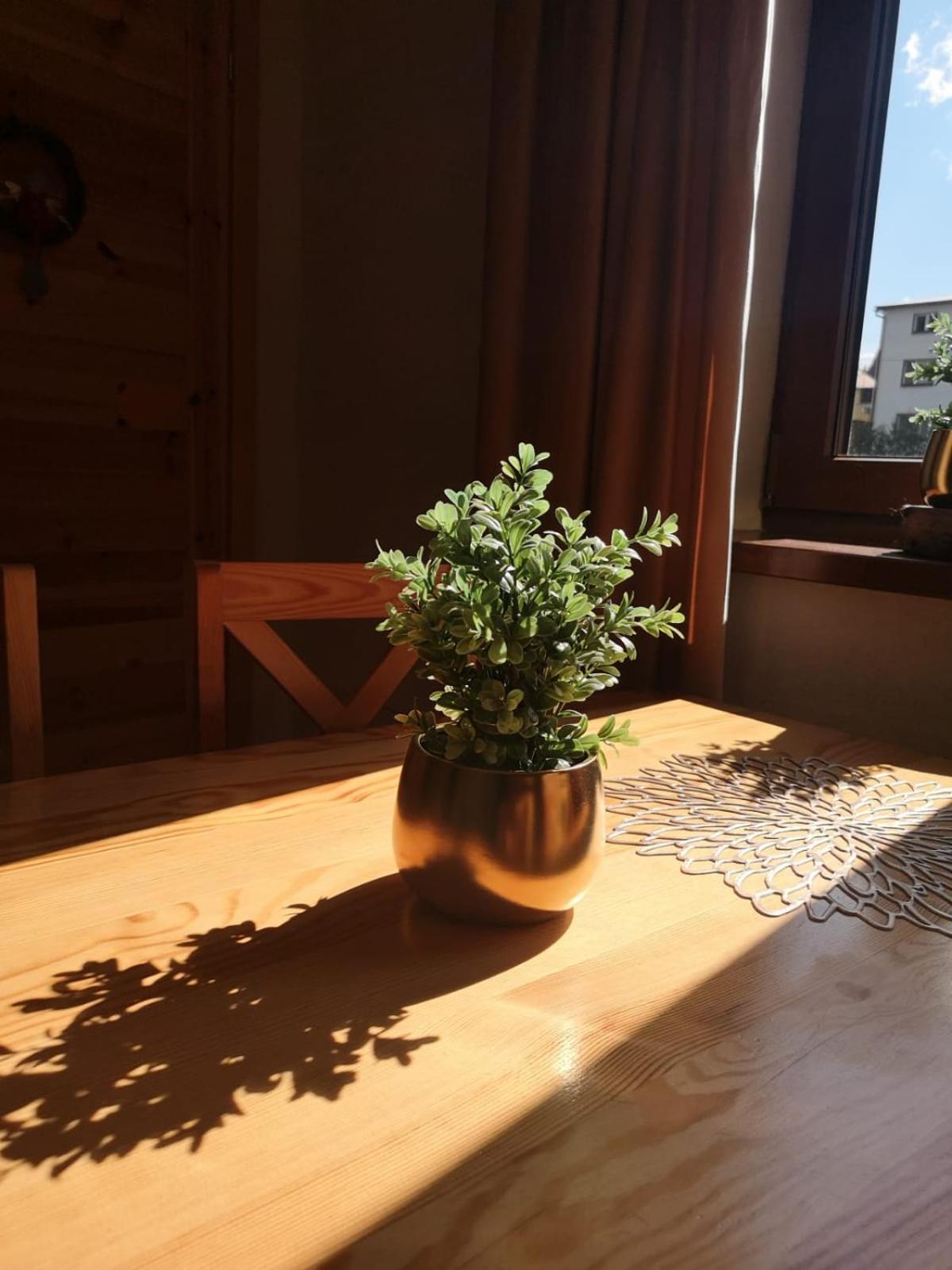 Zwardoniowka Apartamenty Pod Orawcowa Bagian luar foto